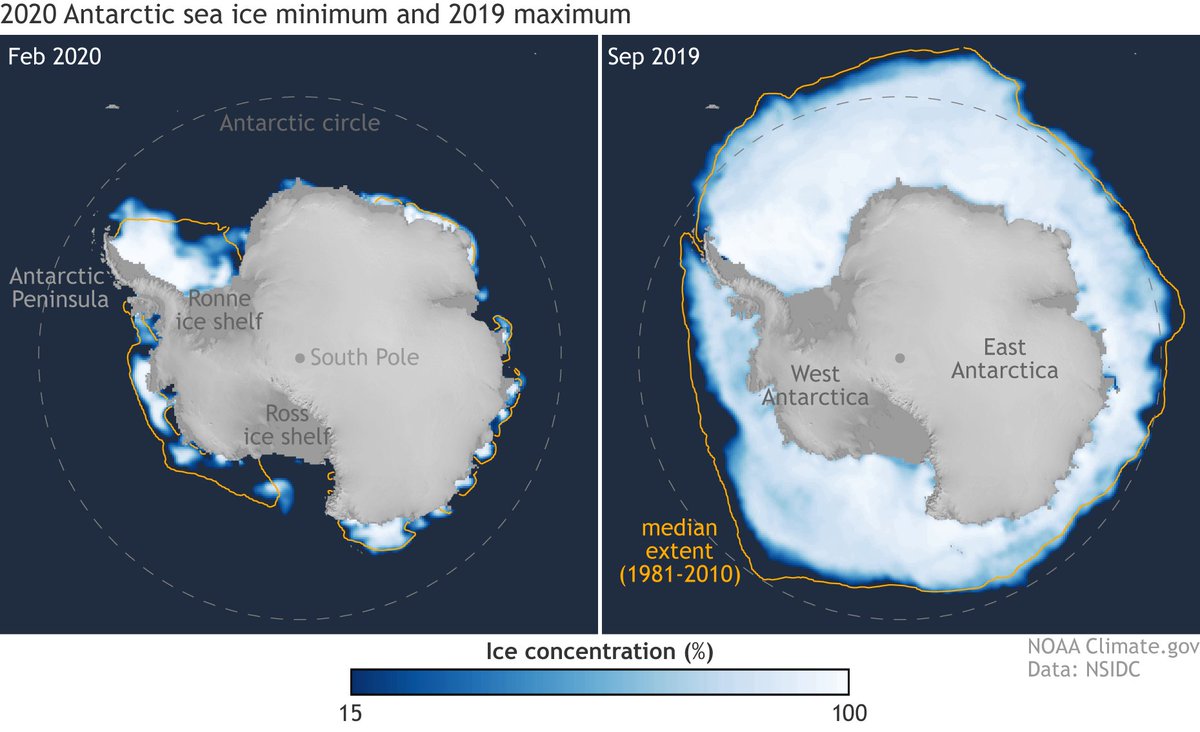 BAS_News's tweet photo. Summer sea ice in the Weddell Sea sector of #Antarctica has decreased by one million square kilometres – an area twice the size of Spain – in the last five years, with implications for the marine ecosystem: https://t.co/qoT7rHxH9G #ScienceNews https://t.co/xrrBqqcz9r