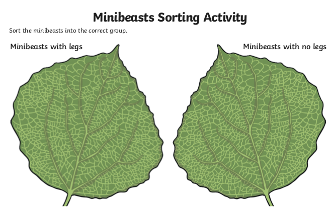 NickiLcr's tweet photo. Did you have a bug hunt yet? If you can't find real live minibeast, you can use these pictures to have a hunt around the house or garden!
Count the legs then sort onto the leaves!
#naturelovers #stayhomehavefun #autismawareness
@MrsMonaghanADHT @LangfauldsPS https://t.co/UKNP8siIxm