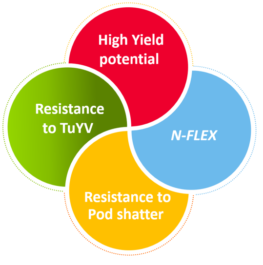 LGSeedsUK's tweet photo. Discover how... 'N-FLEX' is just 1 more genetic trait that Limagrain has bundled into #LGAmbassador WOSR, to better withstand seasonal yield variability...
👀👉 https://t.co/dQX3OFKrXf #bredforsuccess #top6ontheRL https://t.co/Vv2nlwjjRX