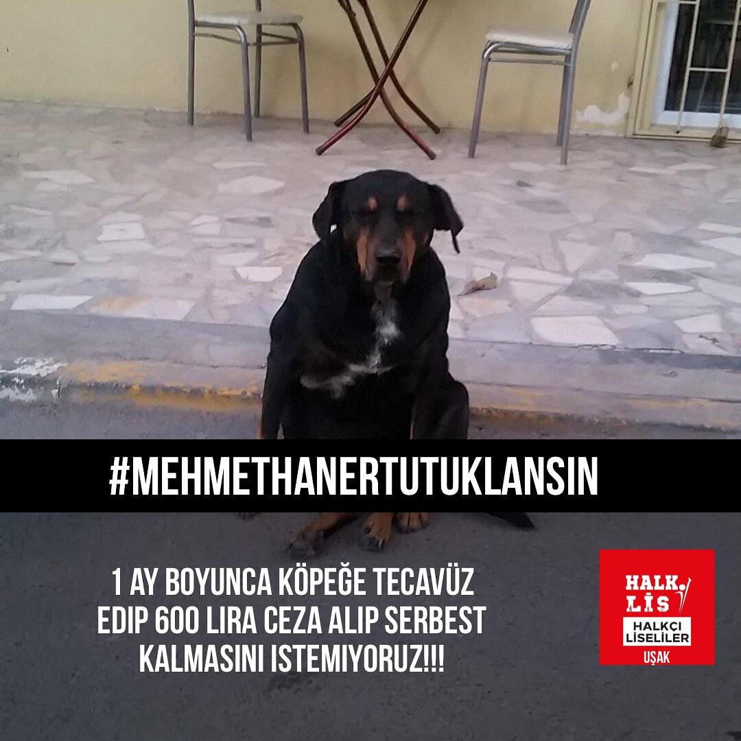 #mehmethanertutuklansın 
Serbest kalmasını istemiyoruz!!!