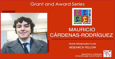 DiBio_UniPD's tweet photo. GRANT AWARD (Marie Curie Actions): Mauricio Cárdenas-Rodríguez
We are happy to welcome @mau_carr who will study the import machinery in mitochondria
https://t.co/7j0yRsjEZY
#mitochondria #Cancer #metabolism #opa1
@UniPadova @IlBoLive @MSCActions @ServizioRicerc https://t.co/IJy5P2ywkR