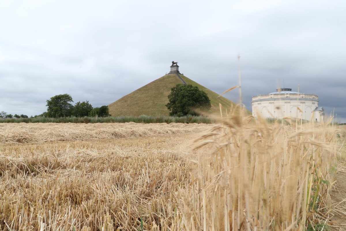 Since 2015 the charity has been carrying out annual summer excavations at Waterloo and has assisted over 100 beneficiaries.  @DigWaterloo continues to make important new archaeological discoveries about the battle. #WaterlooRemembered  #MilitaryHeritage