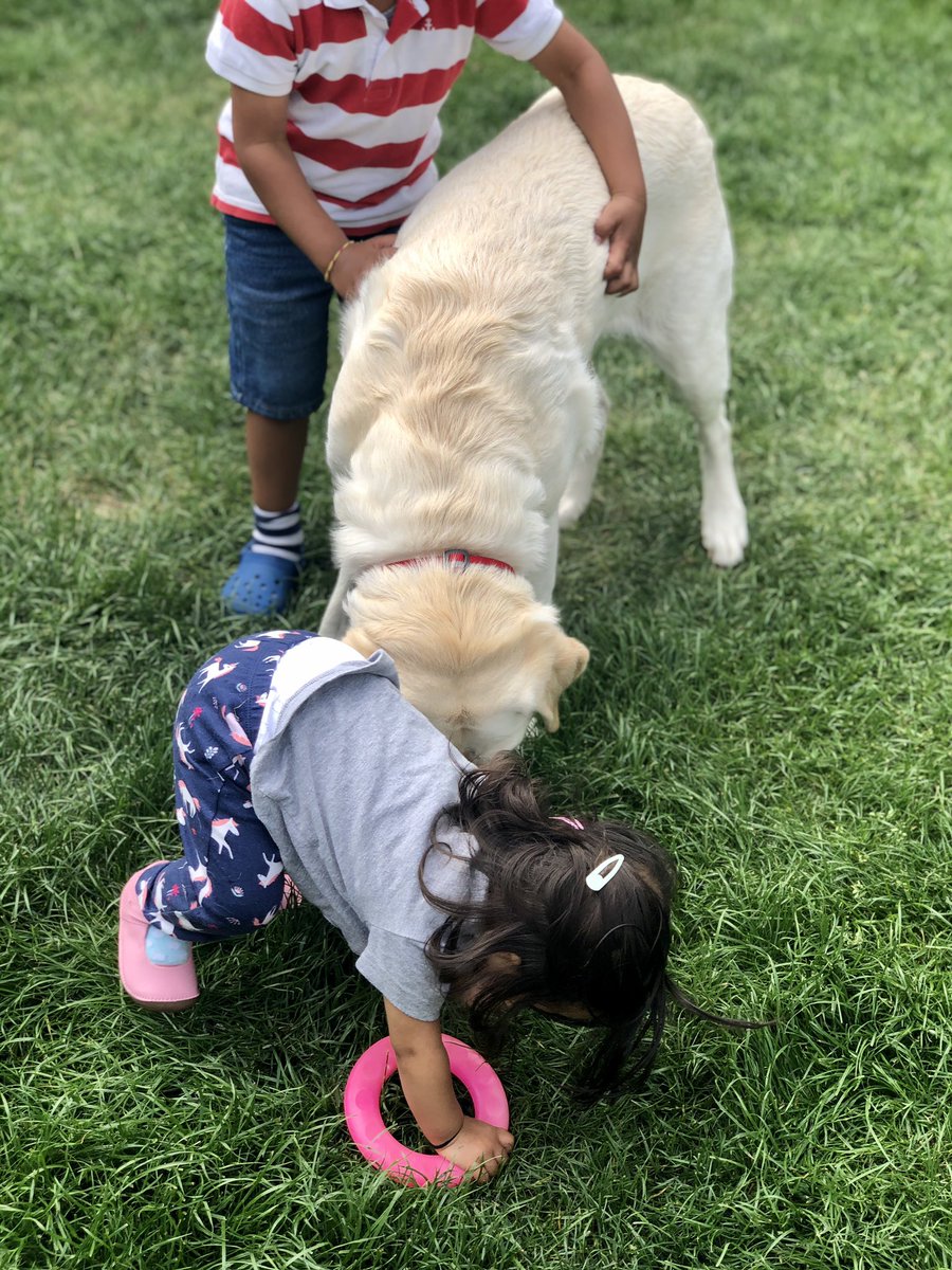 It would be unfair of me to sit on the sideline & let dad chase the sound of bells as little sis explores the garden 🤣🤣🤣
#BlindParent