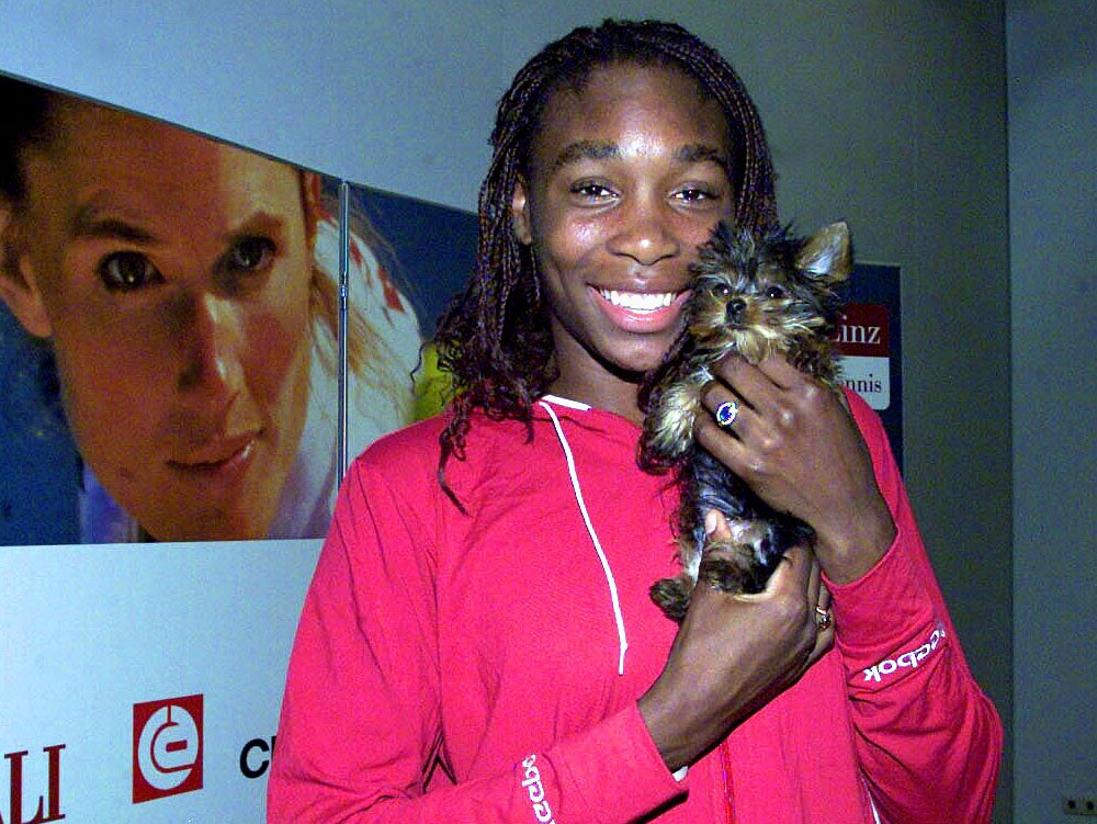 VENUS WILLIAMS - Página 37 EateSJTX0AE-_cJ?format=jpg&name=medium