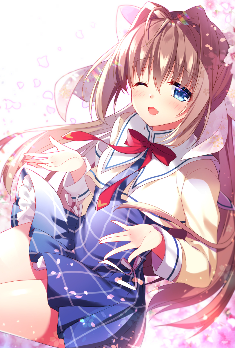 朝倉音姫誕生祭 Twitter Search Twitter