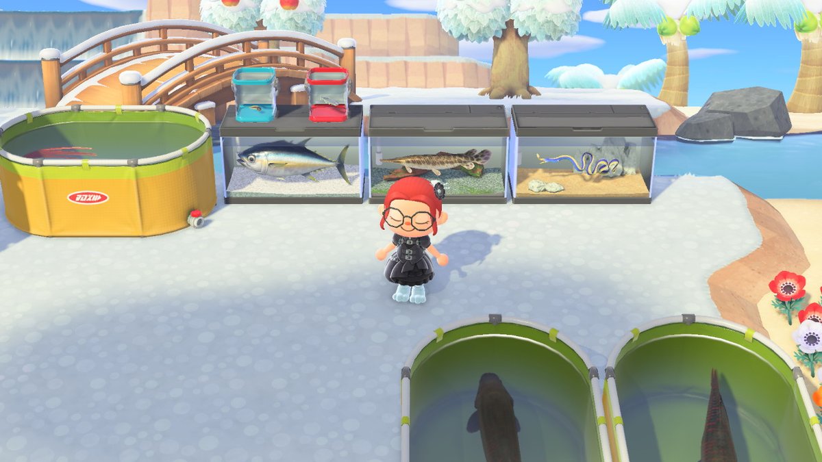 Nighty_fire's tweet photo. #AnimalCrossing #ACNH #NintendoSwitch https://t.co/vsTTO3CsD4