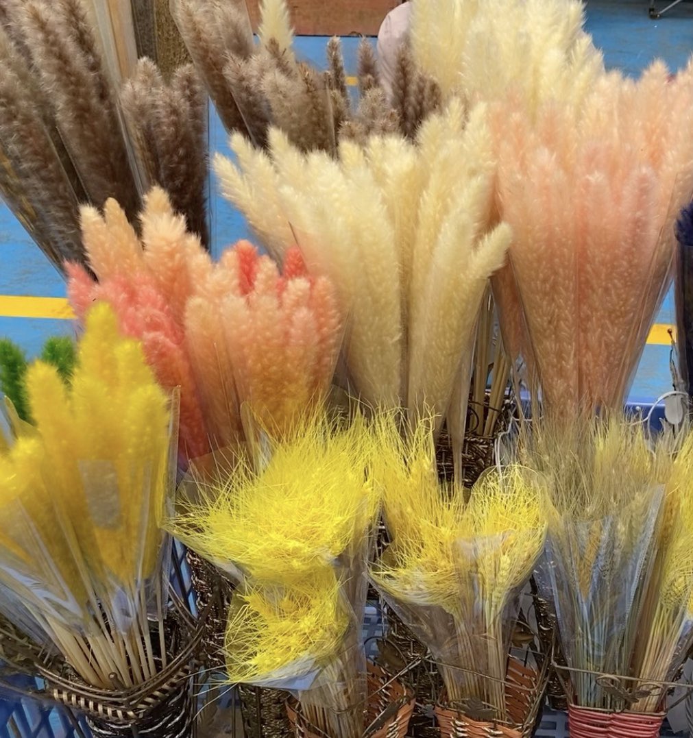 Helen_Wang_'s tweet photo. A flower like a tail https://t.co/gg4bjLGS1D