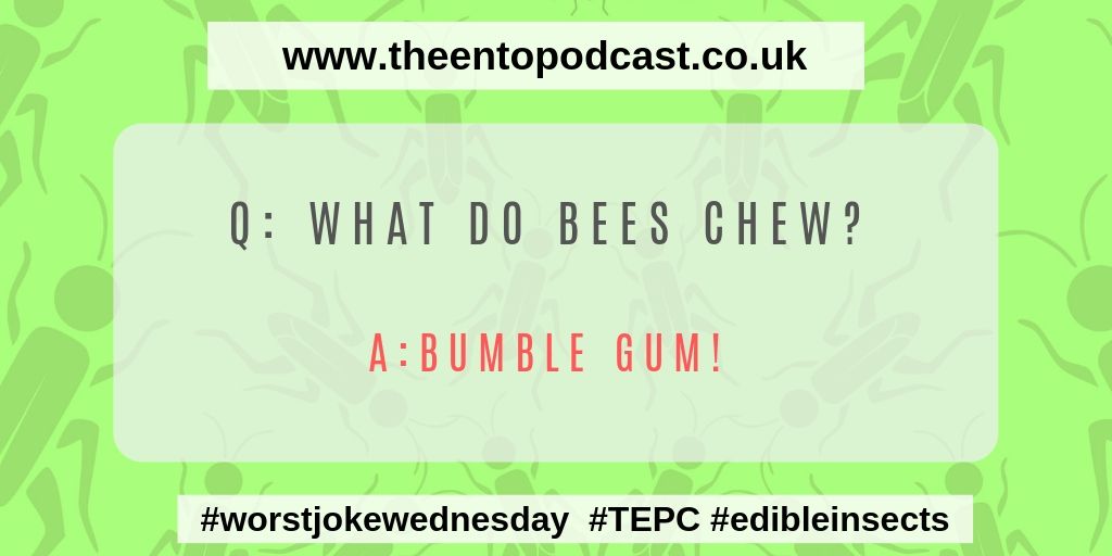 Happy Hump day enjoy our #worstjokewednesday, #ent