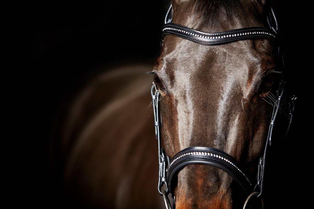 Our attention to detail doesn't stop after we've designed our bridles, reins, girths etc. All of our products are handmade in Walsall from high-quality Sedgwick leather meaning that as long as you care for them properly, they will stay looking good and performing for many years!