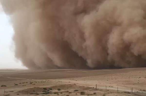 CGIAR's tweet photo. Reversing desertification to enhance food security: https://t.co/HhY3fG0A3G
For #DesertificationAndDroughtDay, @ICARDA presents approaches to create agricultural environments that are more resilient to communities’ increasing needs.
#FoodFeedFiber #foodsecurity #climate https://t.co/KNfFEw1eQF