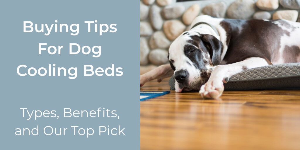 A cooling bed for indoors is an often overlooked item that dogs need in the warmer months. Does your dog have a place to lay down inside that is both cool AND comfortable? bit.ly/3e5xOXq
.
.
.
.
#dogsafety #petsafety #dogsafetytips #dogcooling