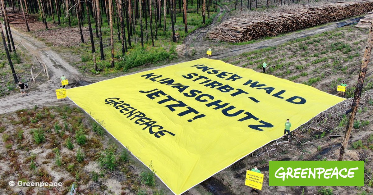 greenpeace_de's tweet photo. NOW: Activists in Eastern Germany are demanding "Our Forests are dying - Climate Protection now!" All over the world forests are being exploited and suffer from #climatecrisis. #saveourforests https://t.co/bQJStVTo2z