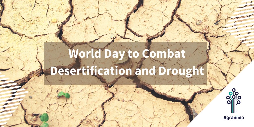 Happy to play our part in solving this issue!
#DesertificationAndDroughtDay