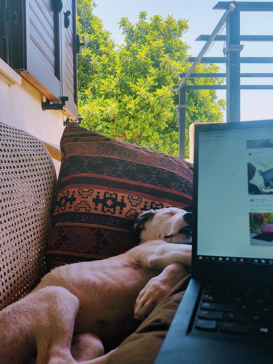 Working from home means sharing more time with your beloved 🥰🐶
#WeAreLenovo #WorkFromHome #smartoffice #wfh