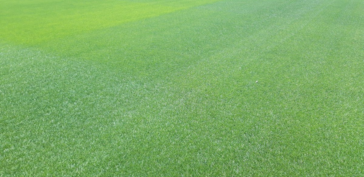 SemillasFitoTG's tweet photo. ☘️🌱 Con una fórmula de alto mantenimiento y máxima resistencia, el #césped #SPORTBLUE es la solución más innovadora para campos deportivos:

✅ Campos de #fútbol ⚽
✅ Pistas de #tenis 🎾
✅ Hípica 🏇
✅ Tees
✅ Calles de campos de #golf ⛳
 
👉 https://t.co/J9l9a3k50A https://t.co/zw26w6medy