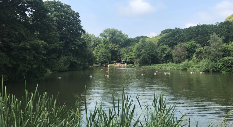 Hampstead Heath tweet media
