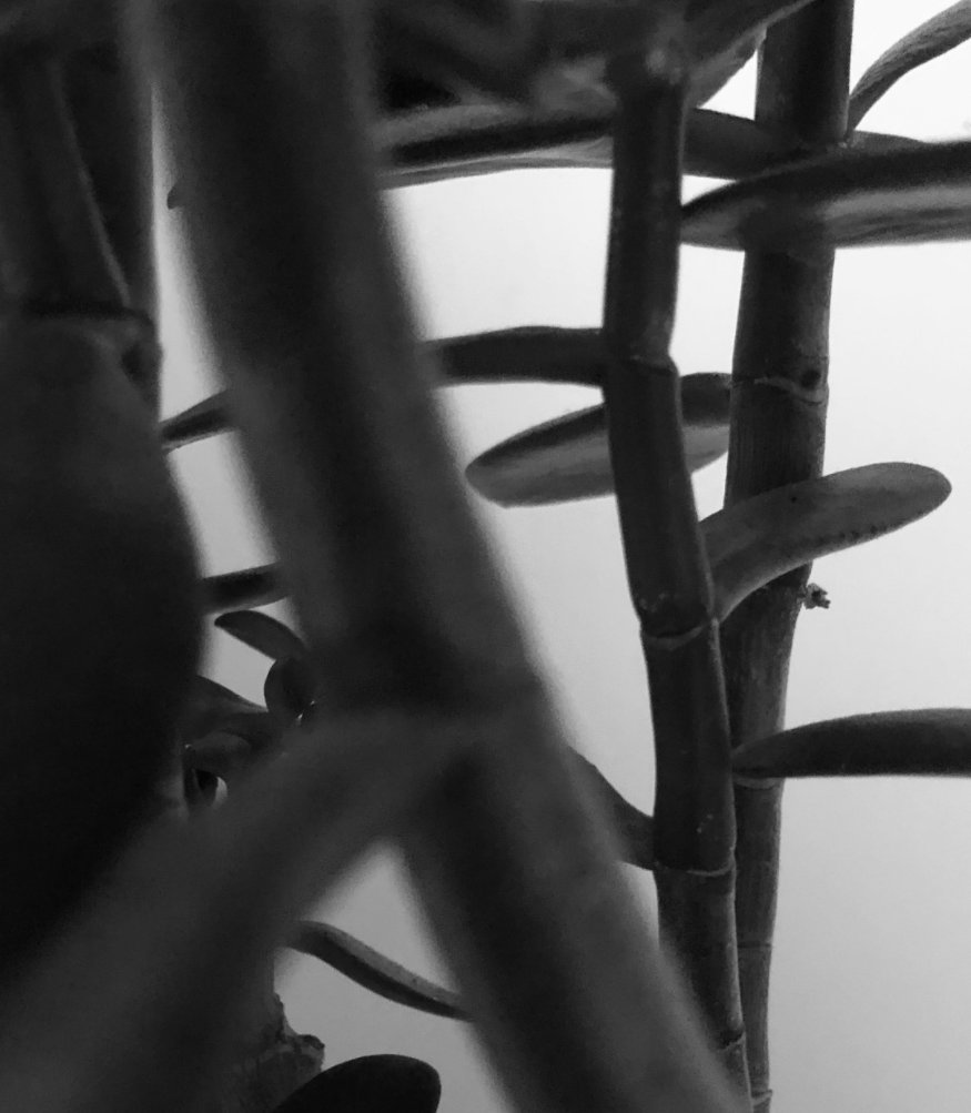 MsRobertson13's tweet photo. Well done to all the Higher Photographers who submitted their photos of everyday objects! Loving your use of composition and viewpoint! keep up the good work 🙌 https://t.co/moGzIiZOYq