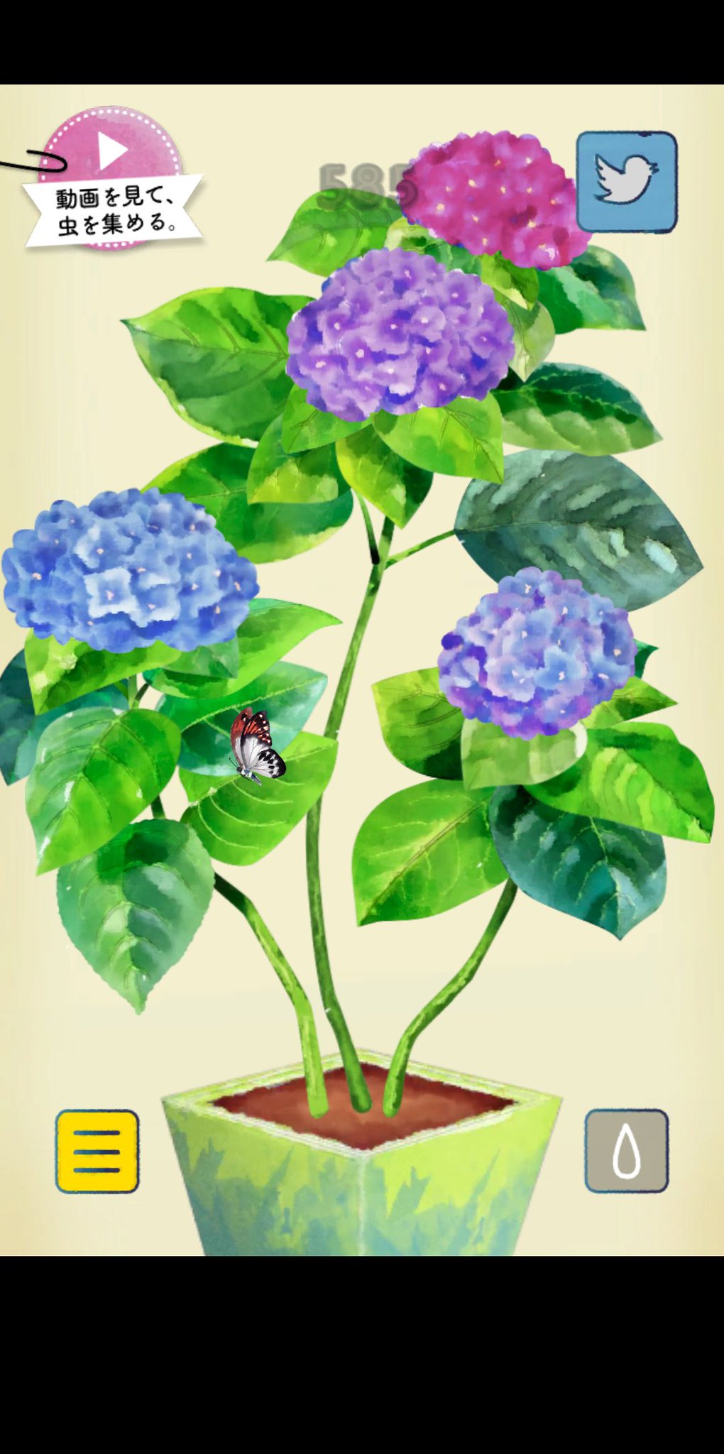 Misia 真斗推し V Twitter ポケットプランツ Iphone T Co Kweam58kiq Android T Co Bqknc4m2x7 3つ目 紫陽花がさきました T Co Of3rckrnpt Twitter