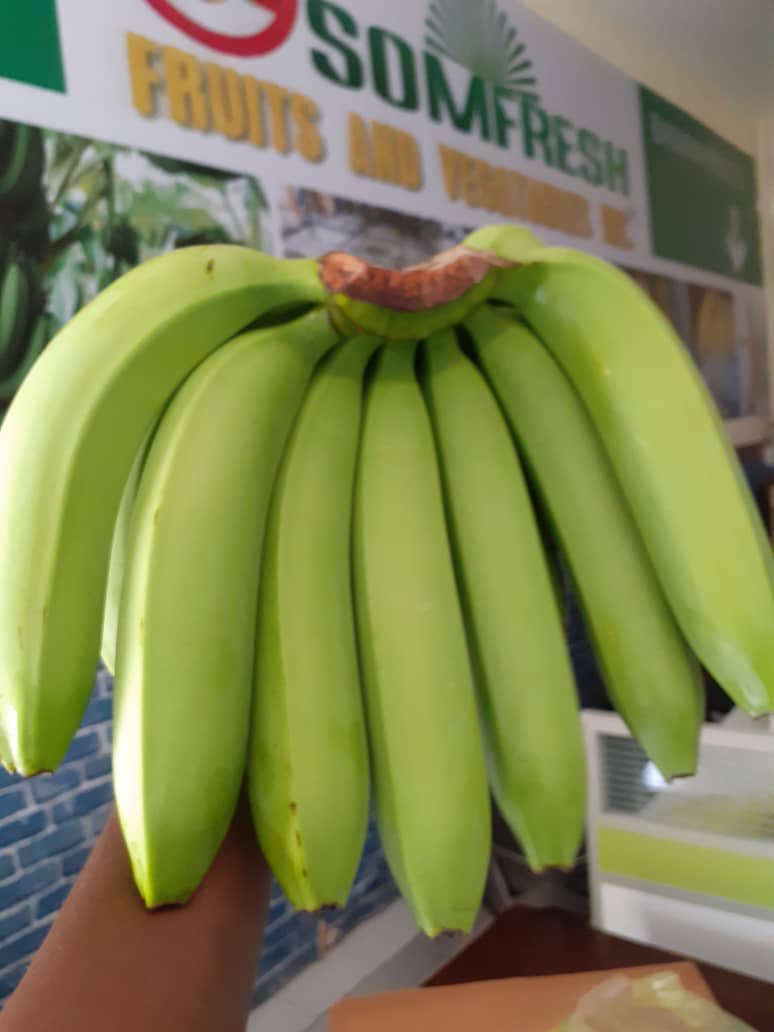 Somfreshfruits's tweet image. Somali banana is back to the market. 
We aim to produce high quality of Somali fruits and and vegetables. 
#Organic #Fresh #NaturalTest 
#SomaliBananaIsBack
