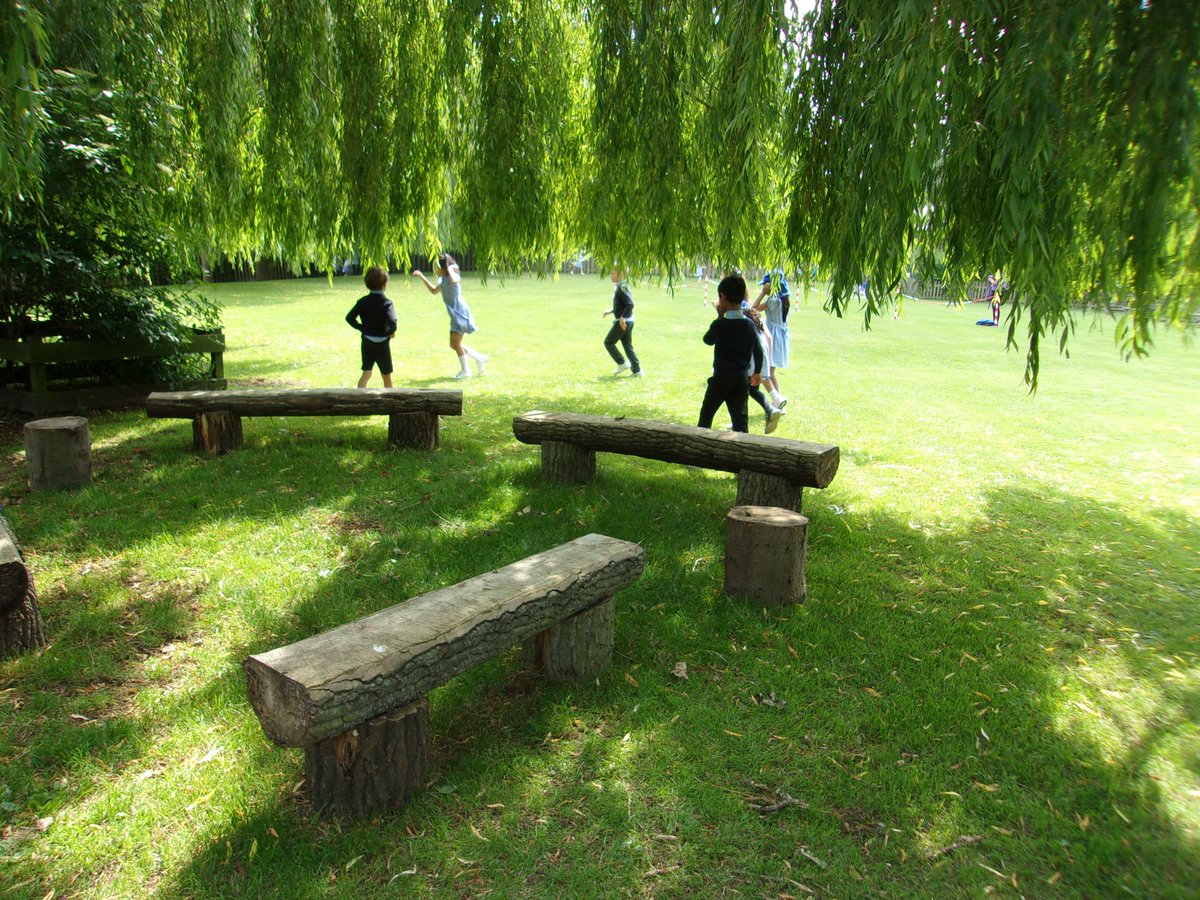 Year 2 under the willows.