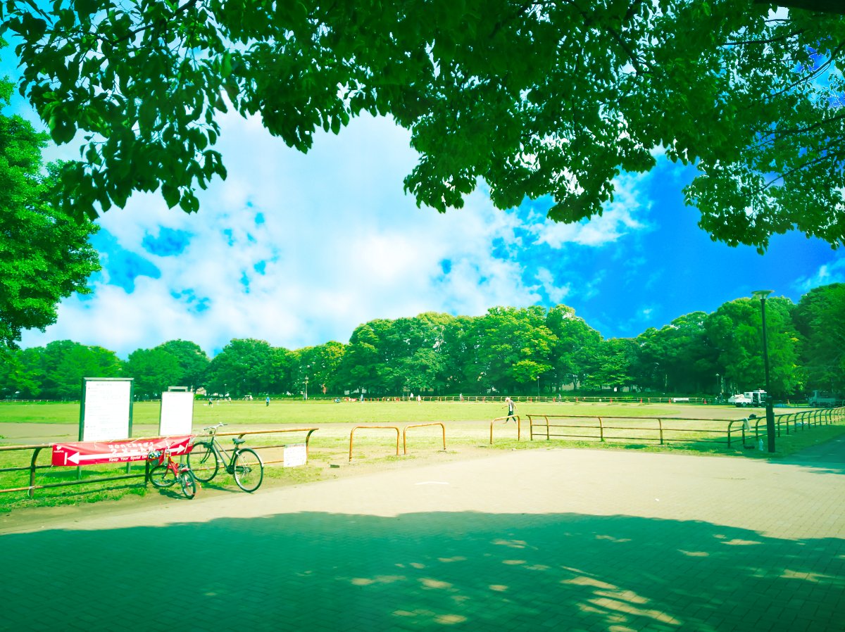 ノーべリウム Nobelium 写真をアニメ風に Luminar 4 Affinity Photo Photography Photoediting Illustration Anime