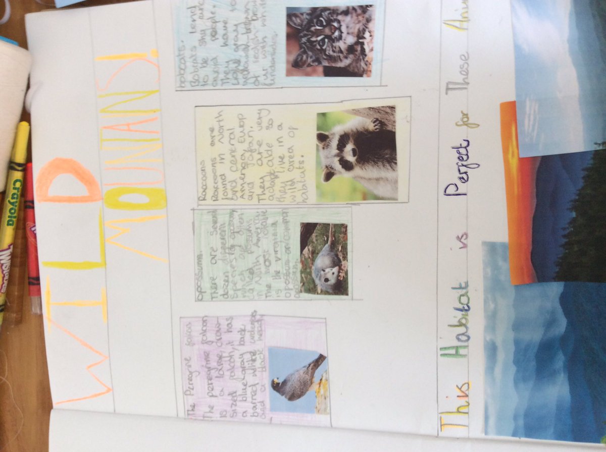 McAndrewV's tweet photo. 🤗Hi 👋 Mr Weir! 😀 This is my work from this week.😃 I have done RE, Art and English!😁I have also done Maths but wasn’t able to photograph it.😊I hope your having a great 👍 week! 🙂😝😜
From EVE!!!🤓🤓🤓🤪🤪😋😛😝😜 https://t.co/hRuoXe2hBT