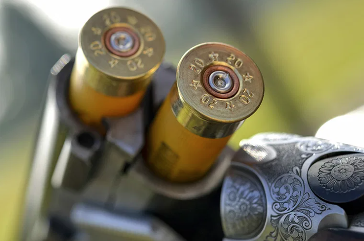 OODMag's tweet photo. 10 and 12 gauge shotguns remain legal in Canada. https://t.co/tOIJKifcfQ 
#Hunting #Fishing #Outdoors #GunMandate #CSAAA #CSSA #OFAH #CFP #BillBlair #MattDeMille #Classification #Shotguns #Bores #Chokes #MuzzleEnergy https://t.co/lgdpWyYgNK
