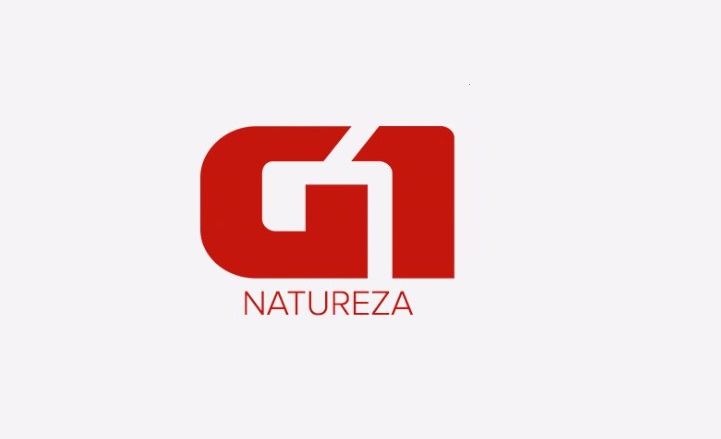 Este perfil deixará de ser atualizado. Para seguir acompanhando as notícias de Natureza, acesse g1.com.br/natureza. Se quiser saber mais notícias do Brasil e do mundo, acesse g1.com.br ou nos siga em <a href="/g1/">g1</a>