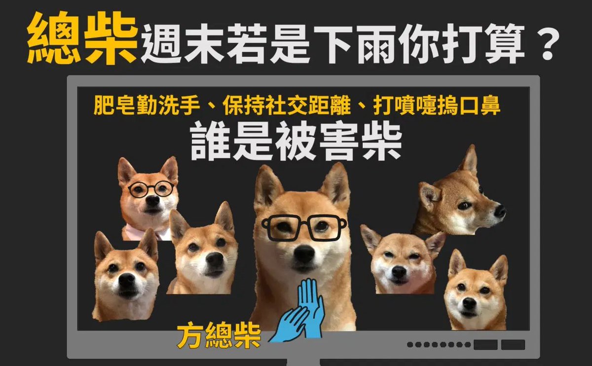 here is a delightful example of the ubiquitous shiba inu, Zongchai, who is now the face of safety guidelines in Taiwan: