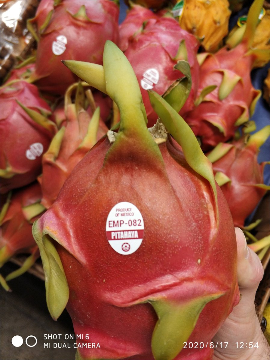 EMP discovered. Wait for results.