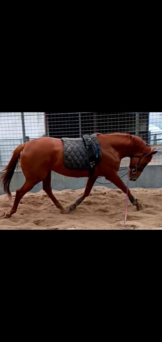 Niall molloy tweet media