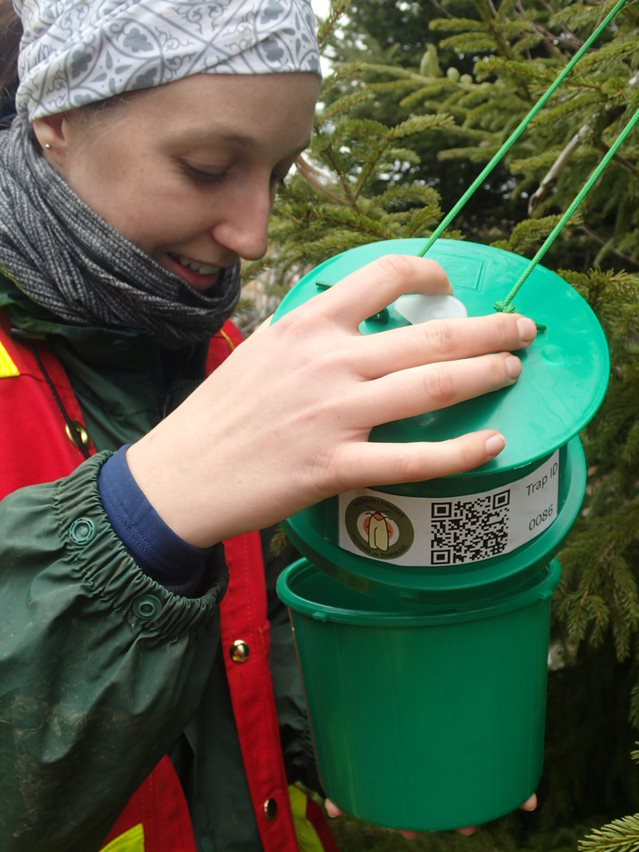 HealthyForestP1's tweet photo. We have a great roster of #CitizenScientists this season for our #BudwormTracker program! #BudwormTrackers play an important role in bringing data back to our #researchers, helping to predict and mitigate #SpruceBudworm outbreaks: https://t.co/o7w6c7gka6
#CitizenScience https://t.co/63AClk1w9Y