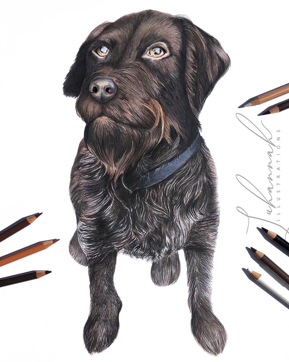 Found my talent for drawing again during lockdown 🎨🤍