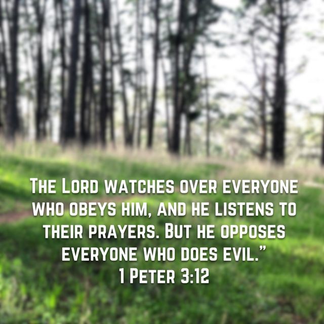 ministerricky1's tweet photo. Almighty God help us #ReturnInRepentance to You in forsaking the fallen way of sin... & #ReachingHigher to You #InRighteousness!
Because You seek #RighteousPeople in heart, mind, speech & deed to empower & bless them to be & do greater through You!
IJCN,TY
#EuropaAfricaUS https://t.co/DJS6rUBnRX