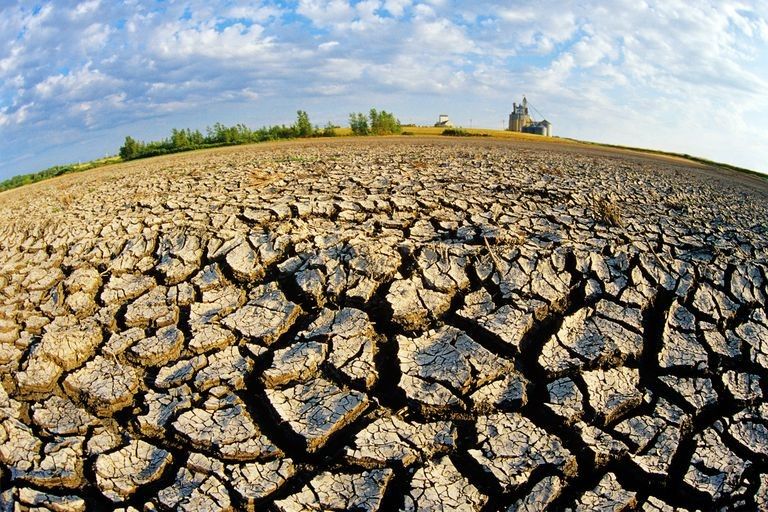 aguaorgmx's tweet photo. ¡Hoy es el Día Mundial de Lucha contra la Desertificación y la Sequía! Continuemos la reflexión y la acción contra la destrucción de los ecosistemas.
https://t.co/ZMGZaiUiIl https://t.co/um1Ku5e3TG