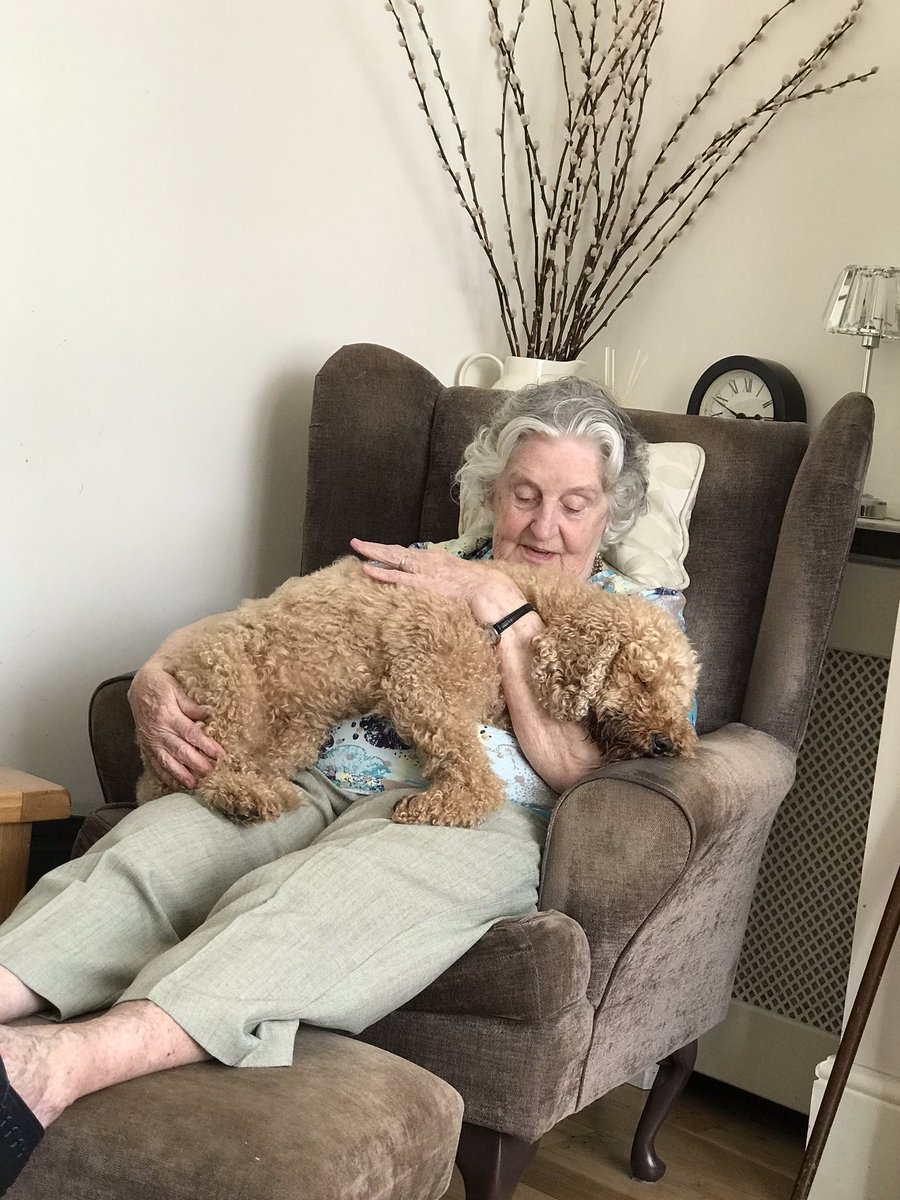 BumbleesX's tweet image. Nanna Cuddles - first time in 13 weeks for poohbear cuddles in our new family “bubble”
Not sure who’s happier, Cassie or Nanna 😋
They seem very content anyway 😝
#Bubble #SmallStepsForward