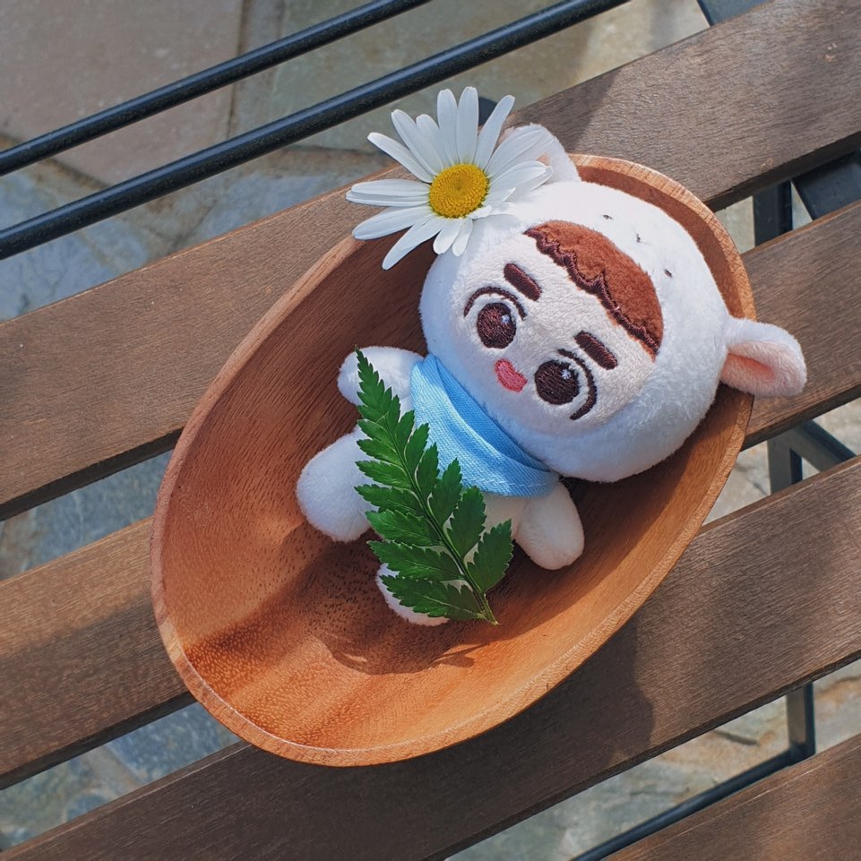 _forDO's tweet photo. 🐑

1. 분양이 마감되었습니다.
2. 이번주 안으로 입금확인메일 보내고 공지드리겠습니다!
3. 추가분양 역시 이번주 안으로 확인 후 메일드릴게욥
4. 쪼램이와 함께해주셔서 감사합니다.

진심으로다가.jjo

- https://t.co/FAsuX1G1sW
