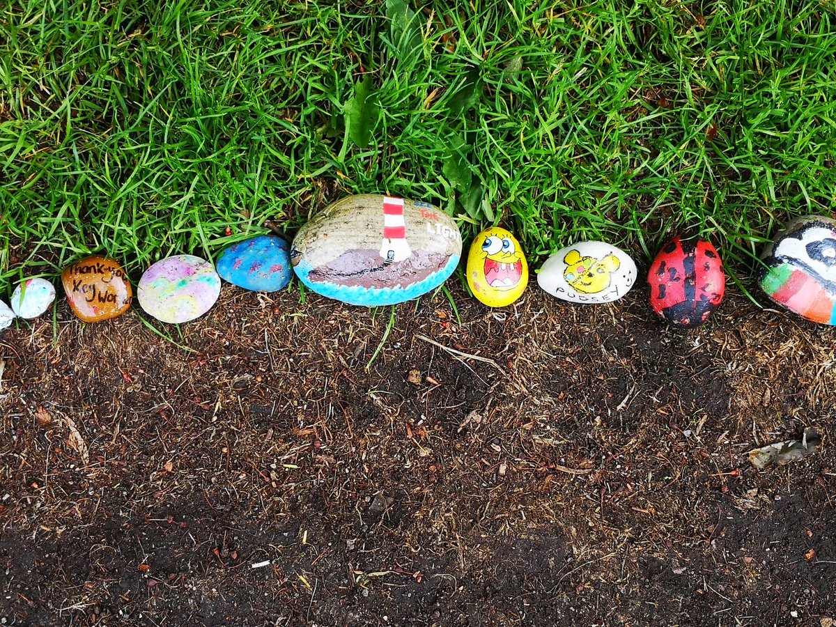 Rachel Thomason tweet media