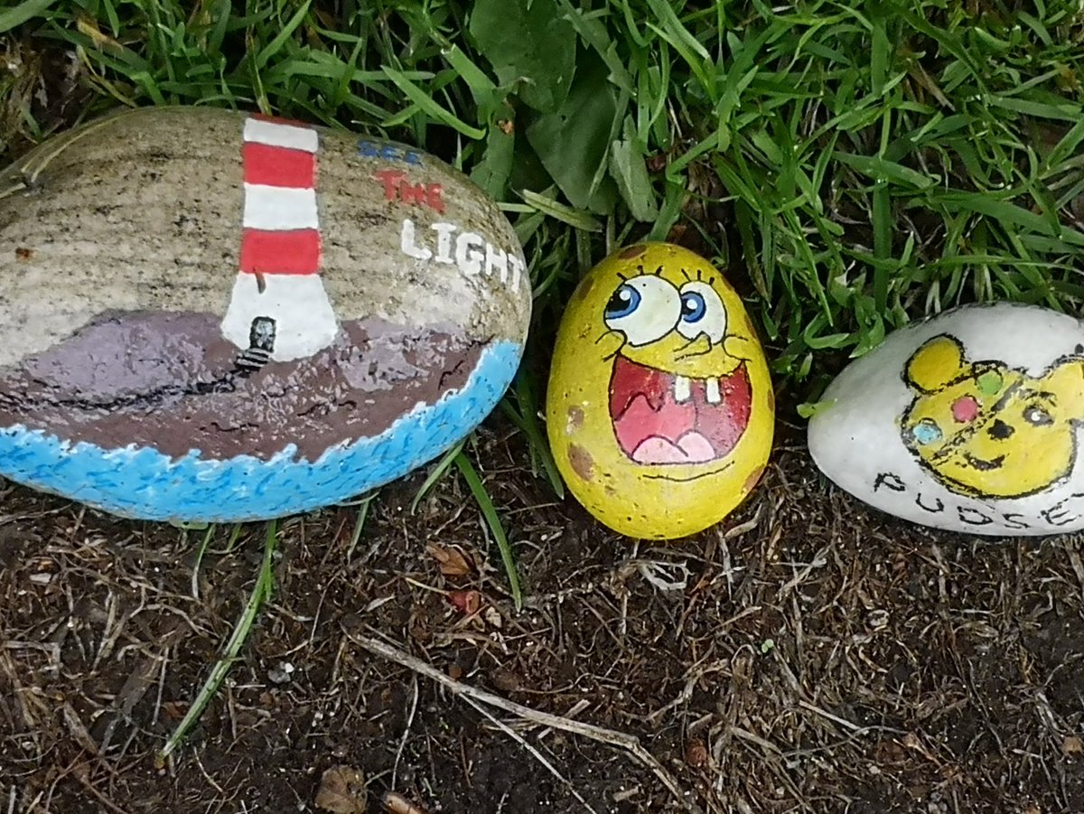 Rachel Thomason tweet media