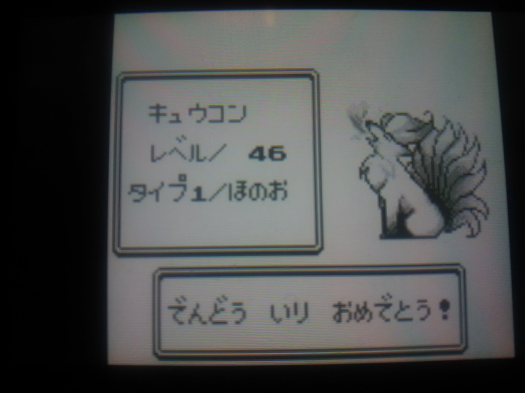 105 ライチュウ 初代ポケモンやるならピカチュウ欲しいよね そんでぽちゃっとしたフォルムのライチュウに進化させたいよね といった569の願望によりパーティ入り でんじは に助けられました よくがんばりました T Co Mf9xf2hqlv Twitter