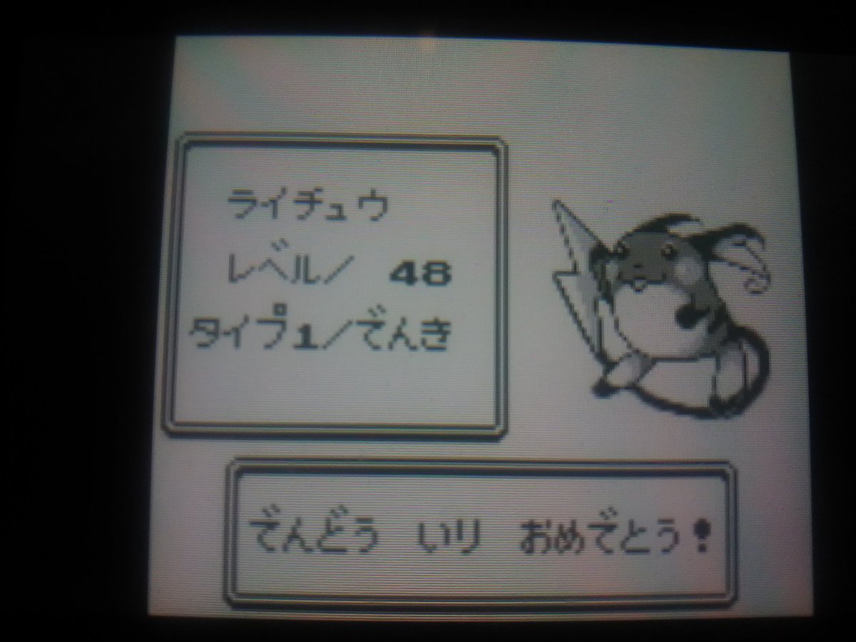 105 ライチュウ 初代ポケモンやるならピカチュウ欲しいよね そんでぽちゃっとしたフォルムのライチュウに進化させたいよね といった569の願望によりパーティ入り でんじは に助けられました よくがんばりました T Co Mf9xf2hqlv Twitter