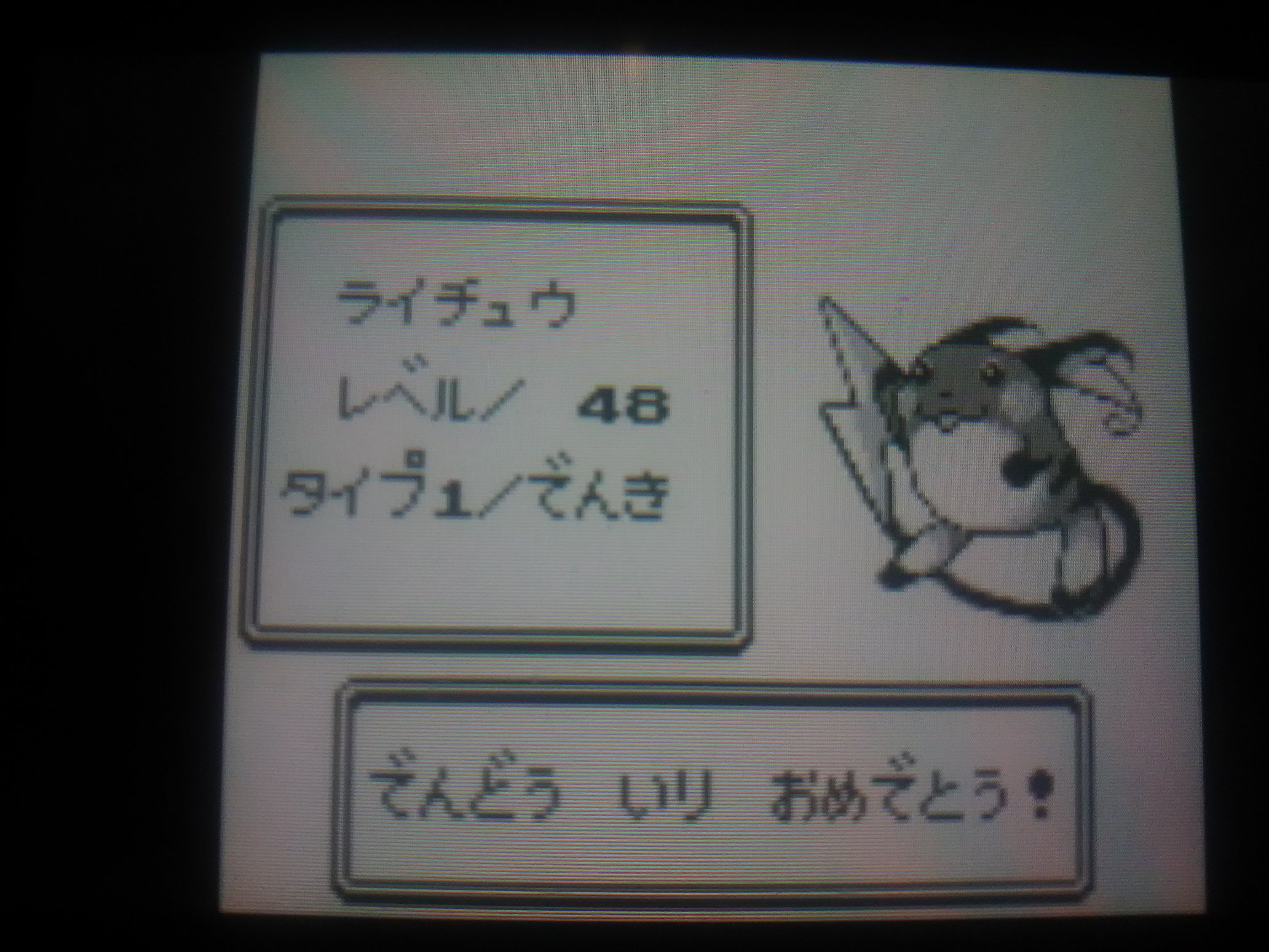 105 ライチュウ 初代ポケモンやるならピカチュウ欲しいよね そんでぽちゃっとしたフォルムのライチュウに進化させたいよね といった569の願望によりパーティ入り でんじは に助けられました よくがんばりました T Co Mf9xf2hqlv Twitter
