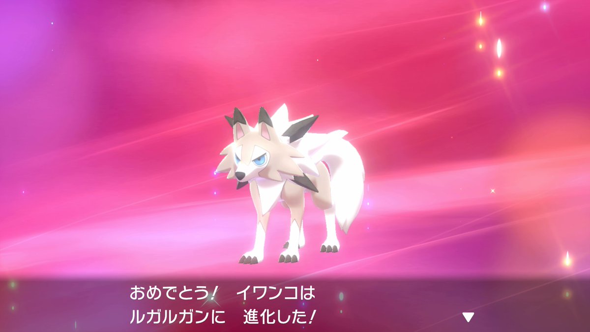 ポケモン徹底攻略 18年運営 イワンコのルガルガンへの進化は ソフトによらず昼 夜の時間帯で姿が変わりますね また 普通の個体では夕方に進化させても たそがれのすがた にはなりませんでした ポケモン剣盾