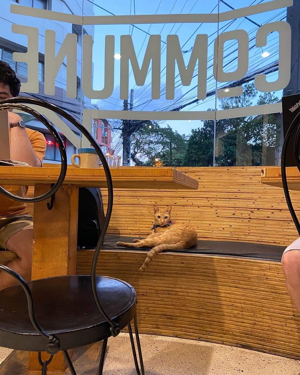 CommunePH's tweet photo. Throwback to the days when Mirage would keep you company when you visit. 🥺

#MissingCommune #CommunePH #ItStartsWithCoffee https://t.co/zowb1ohcHm