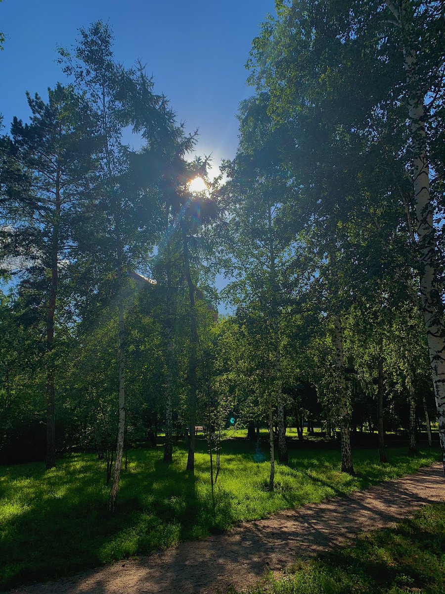 alexandra_elt's tweet photo. 🍀☘️🌿🌱🍃🌳🌳🌳 https://t.co/K5YmKygicL