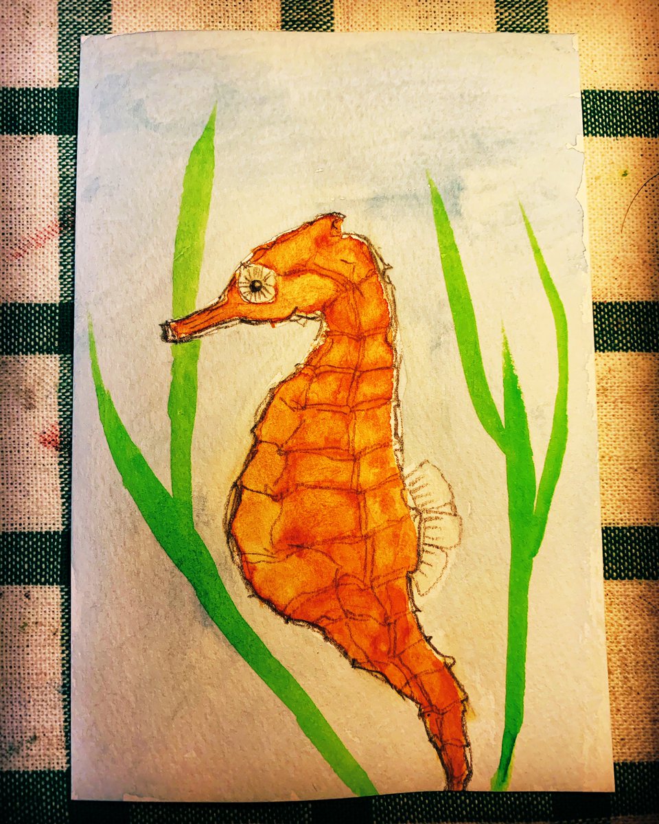 りすた 小学生の時から魚が大好きだった 美術では魚の絵ばかり描いてました タツノオトシゴが特に好きだった覚えがあります タツノオトシゴ 不透明水彩 りすた 小学生の時から魚が大好きだった 美術では魚の絵ばかり描いてました タツノオトシゴが特に好きだった覚えがあります タツノオトシゴ 不透明水彩