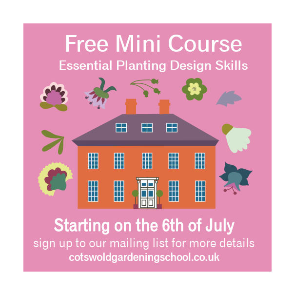 The Cotswold Gardening School tweet media