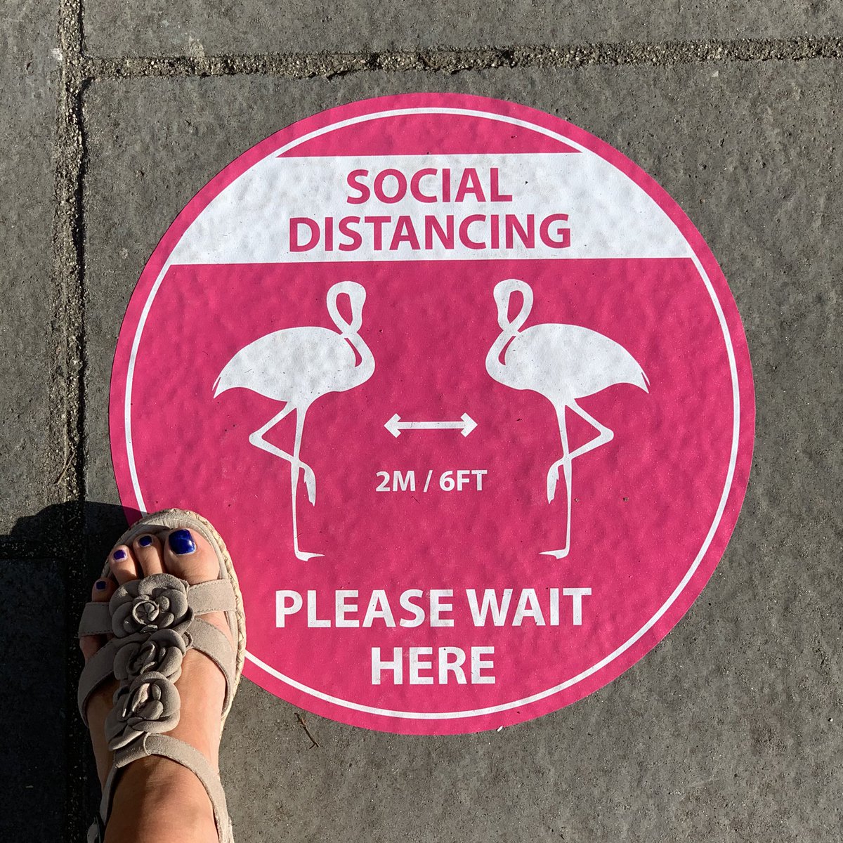 Thank you <a href="/minutemanbath/">Minuteman Press</a>  for producing our bespoke signs. They are being greatly admired - and adhered to!

@votedave <a href="/BathLifeMag/">Bath Life</a> <a href="/WeLoveBath/">Love Bath</a> <a href="/Widcombe_Bath/">Widcombe</a>