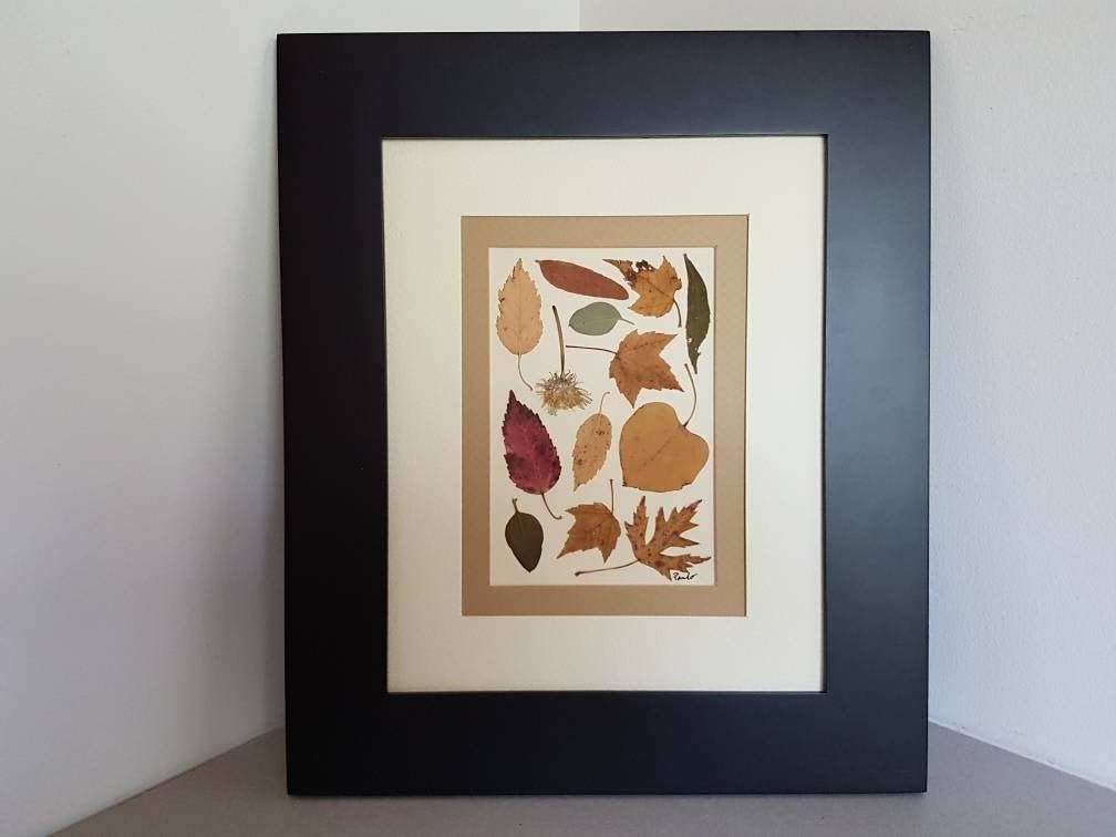 Pressed flower art 8x10 DOUBLE MAT ORIGINAL - Pressed flower artwork made w/ real dried flowers #etsy #pressedflowers #driedflowers #pressedflowerart #interiordesign #interiordecor #botanicalgarden #pressingflowers #pressedleaves #leaves #gardenGifts  etsy.me/3hM7dRw