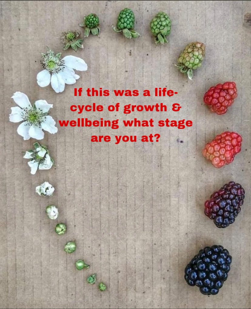 What stage are you at?🤔